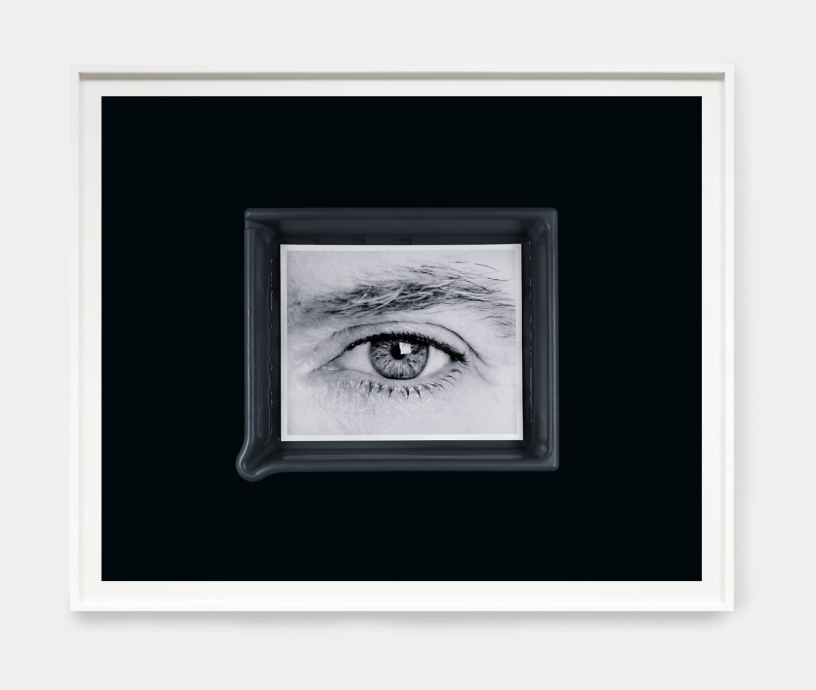 Anne Collier, Developing (Karl Holmqvist), 2024