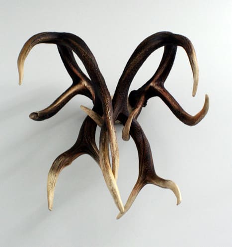 Michael Joo, Felled/Held, 2009
