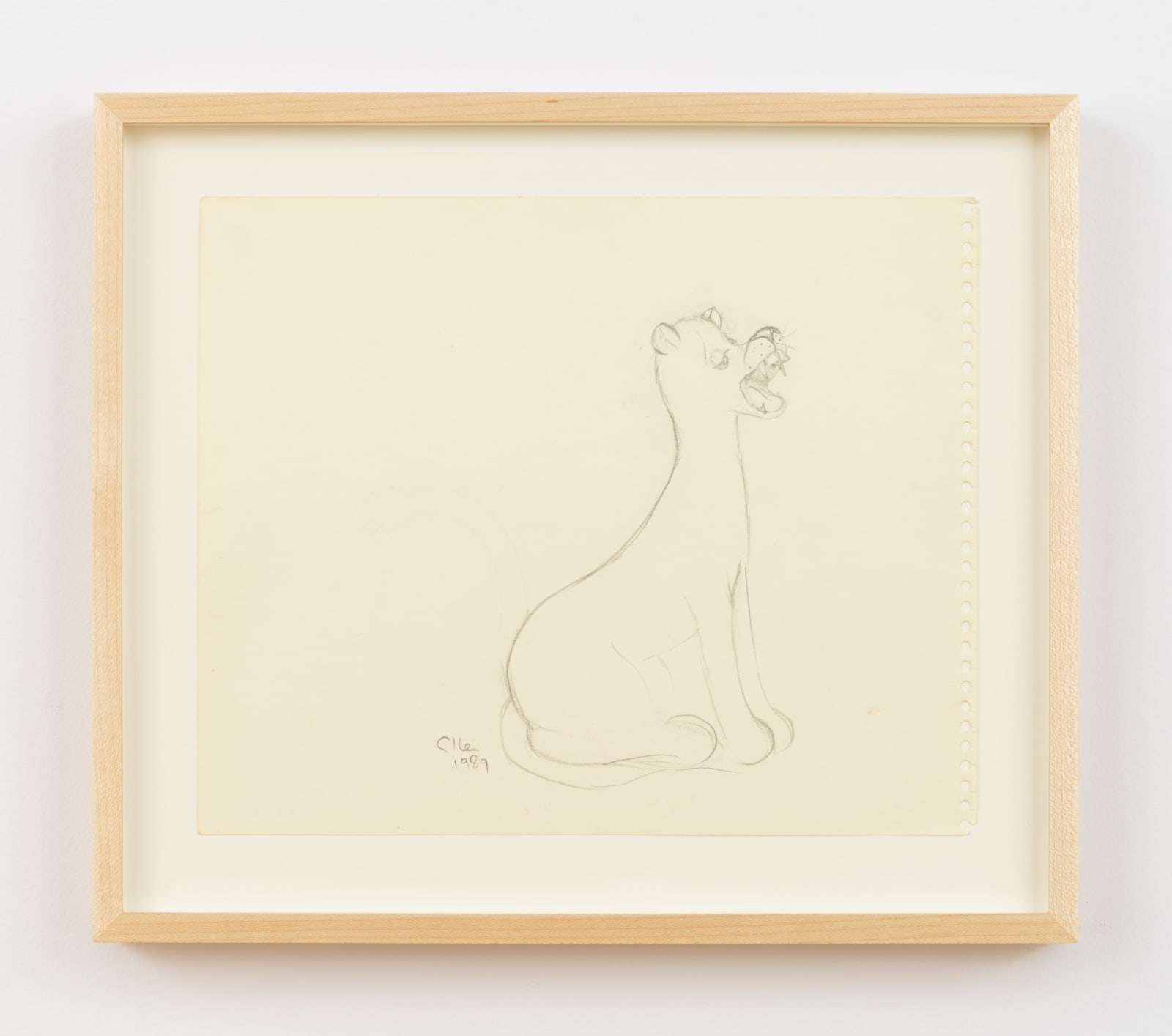 Ellen Berkenblit, Untitled, 1989