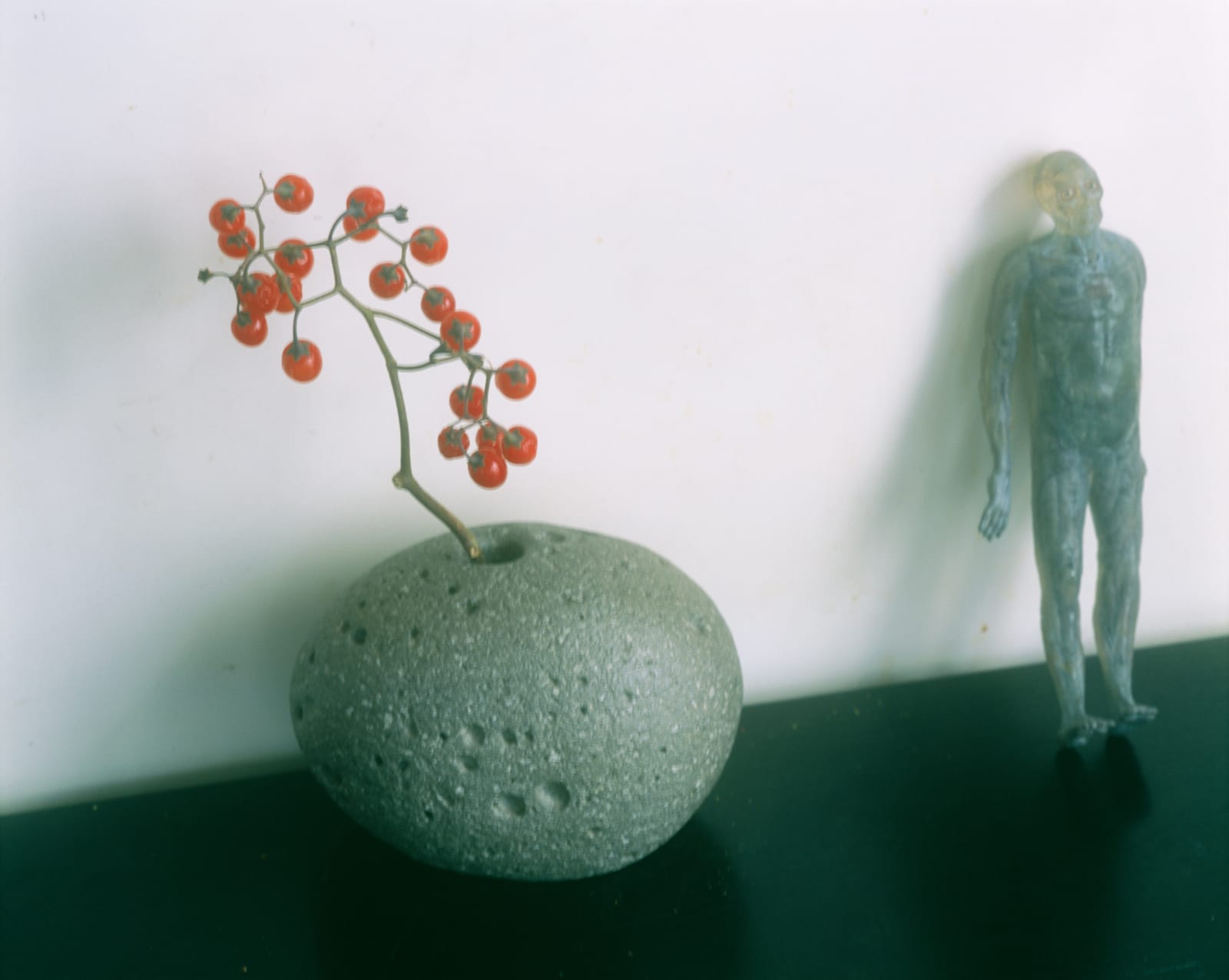 Nobuyoshi Araki, Untitled (Flower Cemetery), 2017