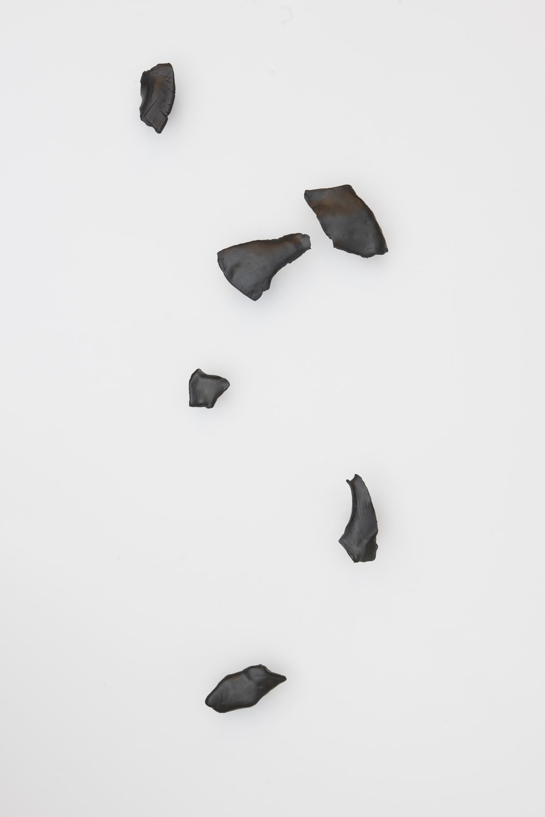 Liz Larner, Congeners, 2025