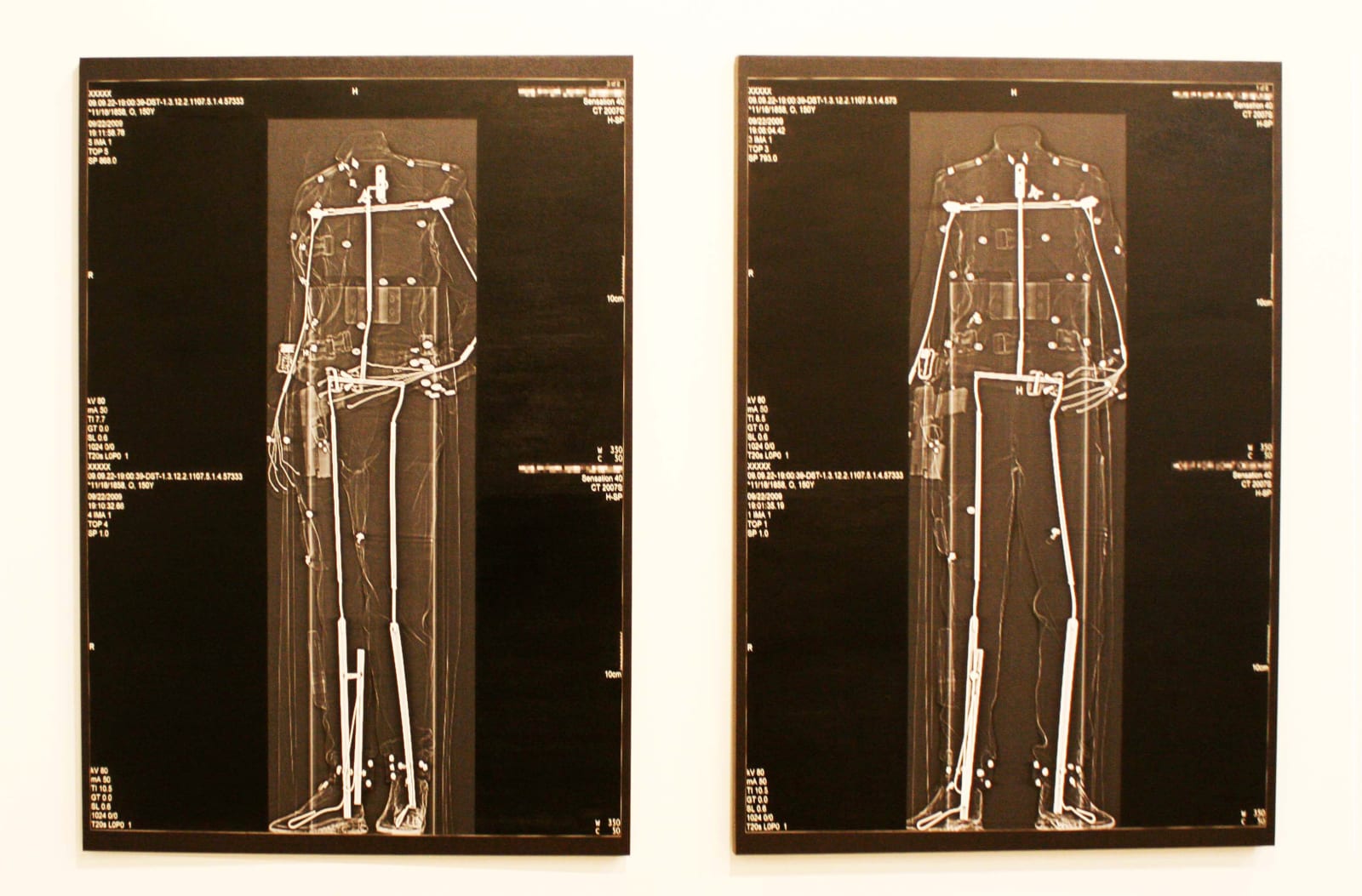 Michael Joo, Future Imperfect Diptych, 2009