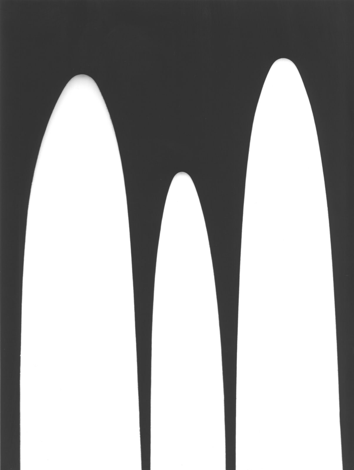 Jochen Lempert, Liliaceae III, 2025