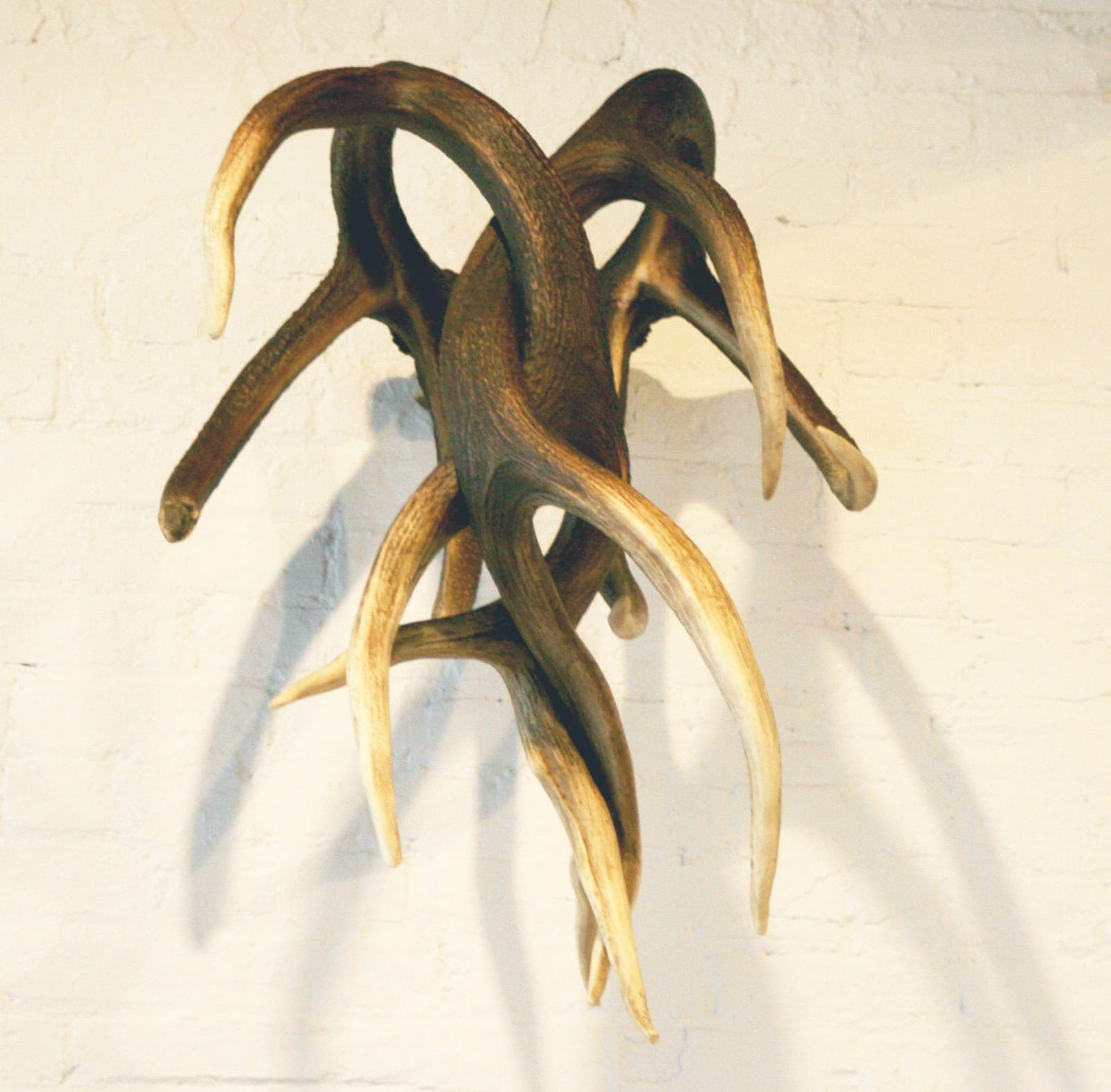 Michael Joo, Tress, 2009