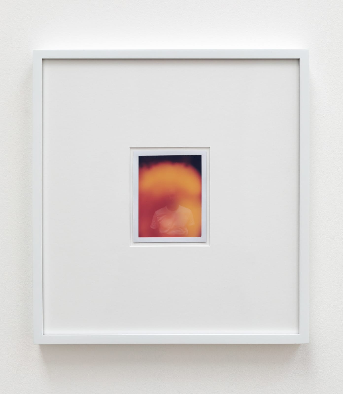 Anne Collier, Aura (Vincent Fecteau), 2003
