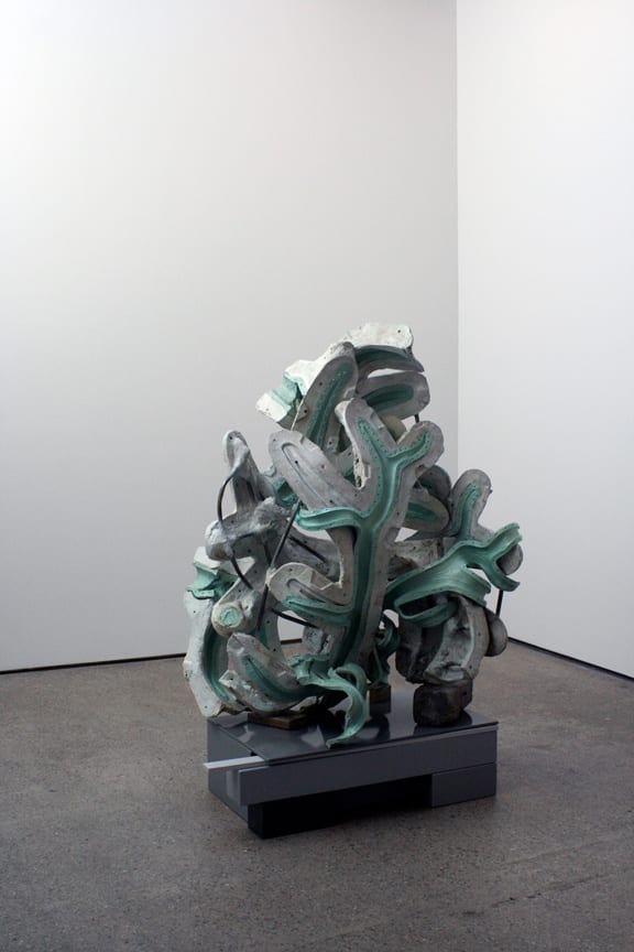 Michael Joo, Anemone, 2009