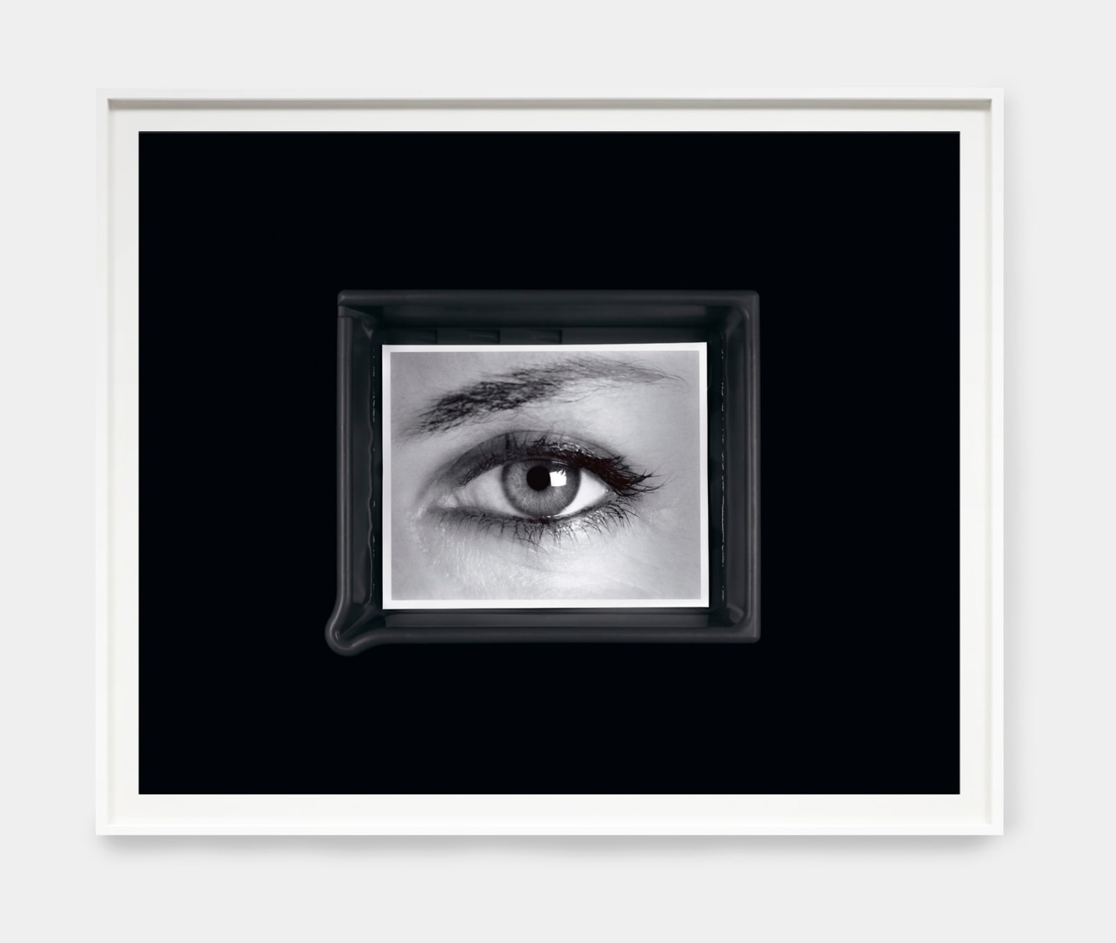 Anne Collier, Developing (Anonymous), 2025