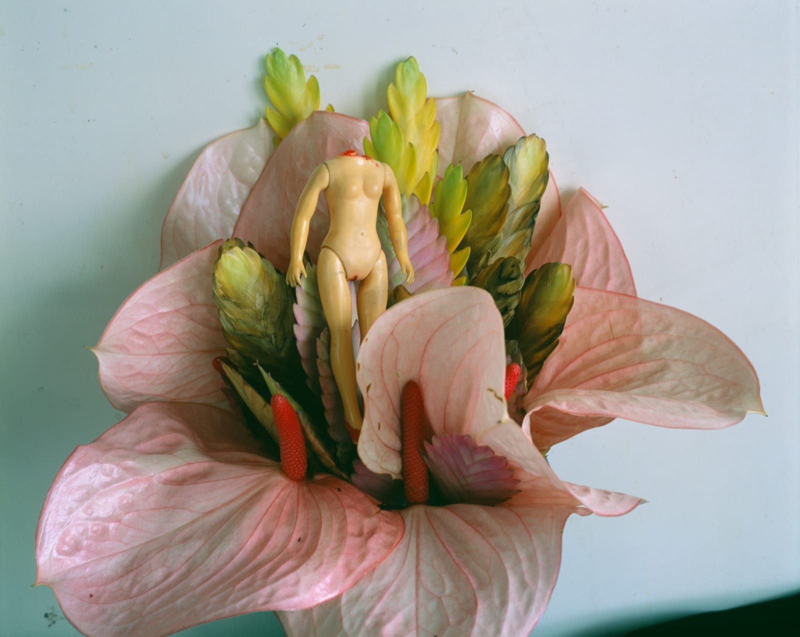 Nobuyoshi Araki, Untitled (Flower Cemetery), 2017