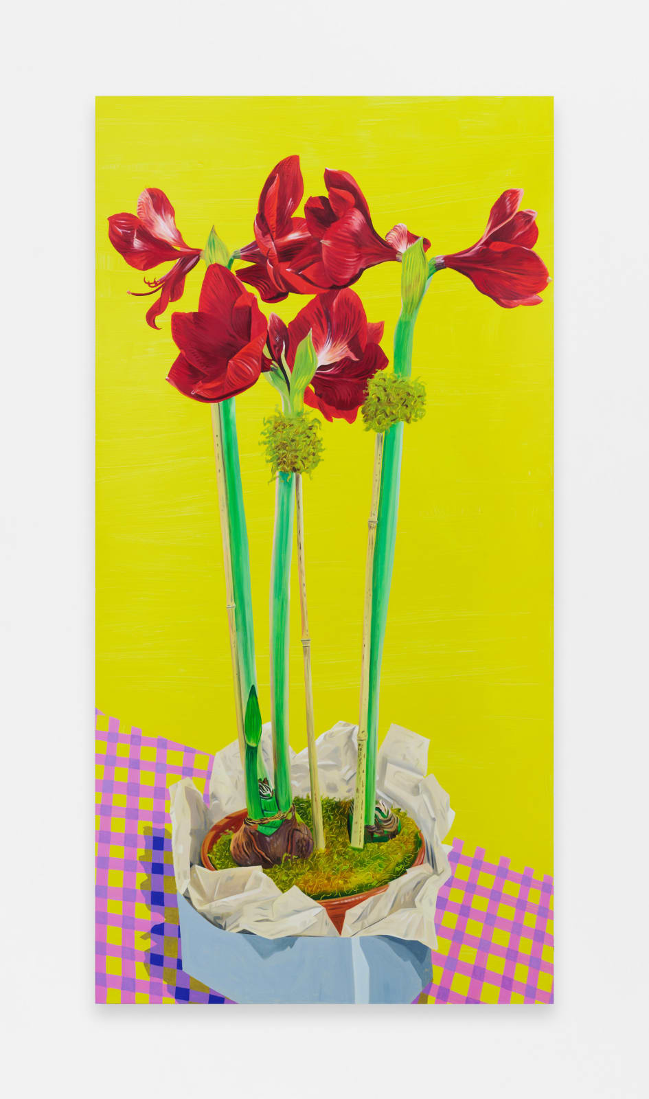 Aliza Nisenbaum, Amaryllis in Red, 2025
