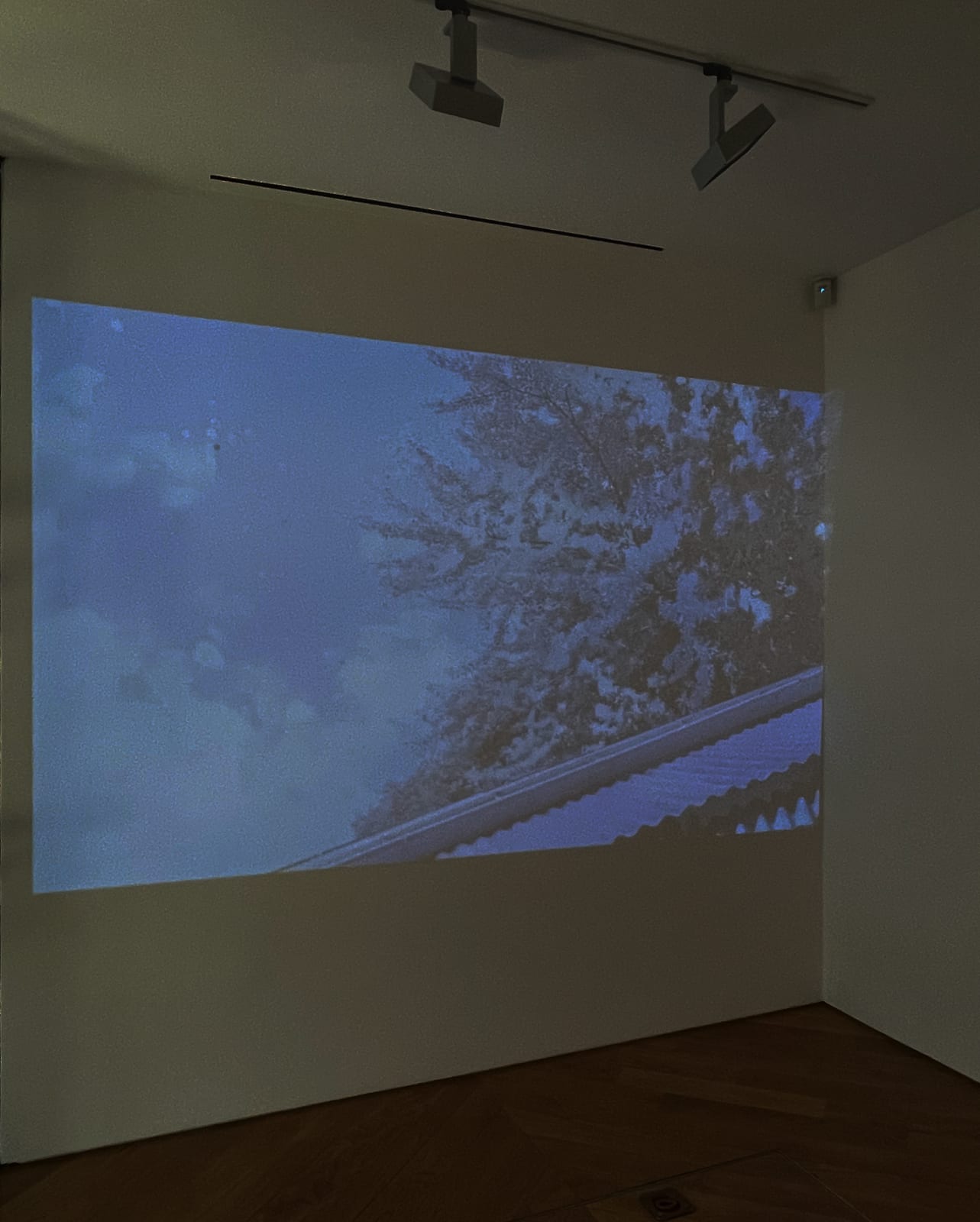 Erin Desmond, When Loving is Letting Go, 2025