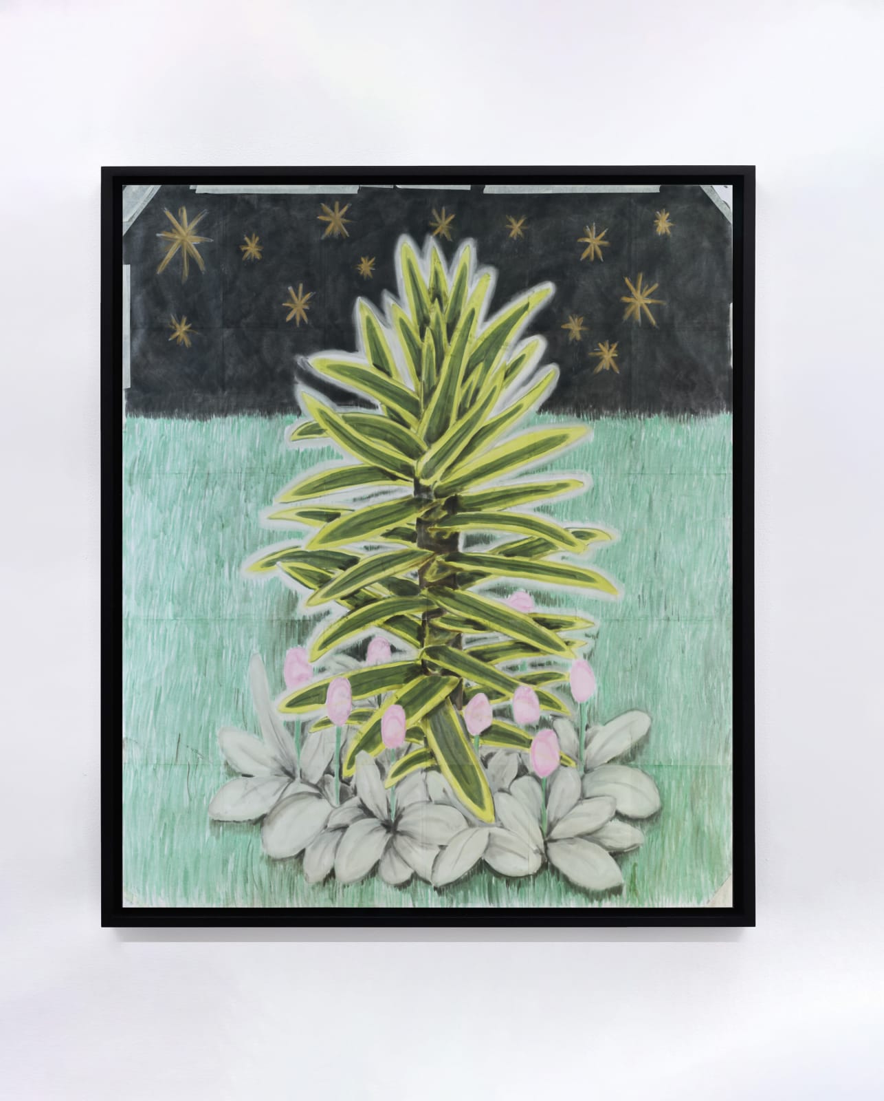 Andrew Sim, portrait of a yucca with stars and flowers (paper drawing, 2025