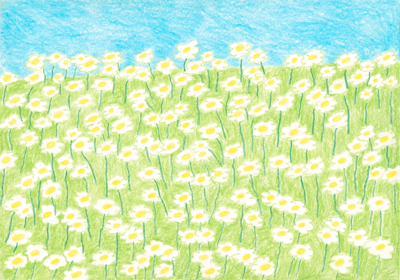 Unchalee Anantawat, Day time flower field , 2023