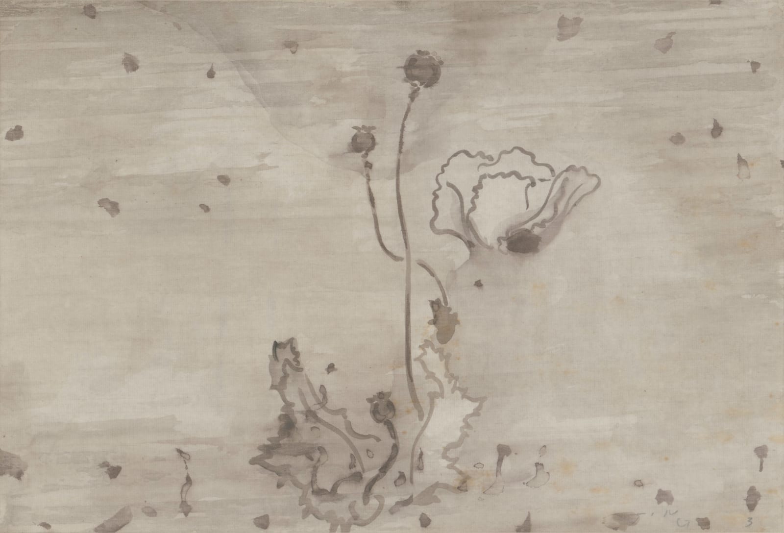 JING Shijian, Poppy 罂粟, 2010s