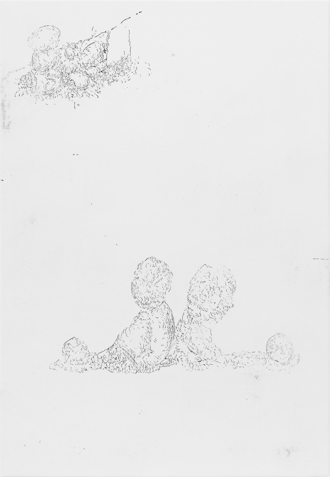 LIM Nosik, WD 14, 2024
