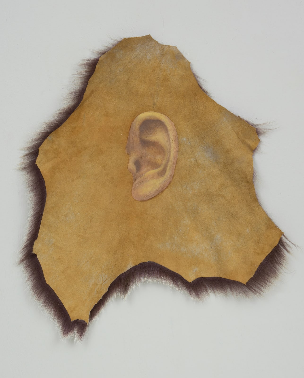 JANG Jongwan, The Record 2, 2017