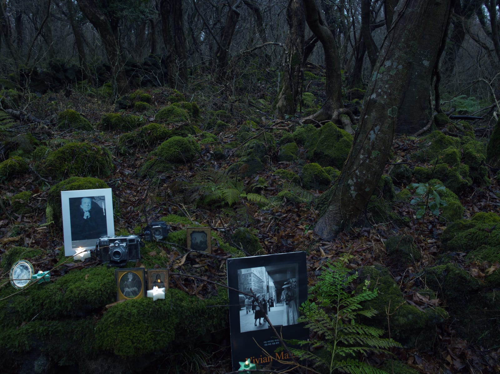 PARK Youngsook, 그림자의 눈물 16 | Tears of a Shadow 16, 2019