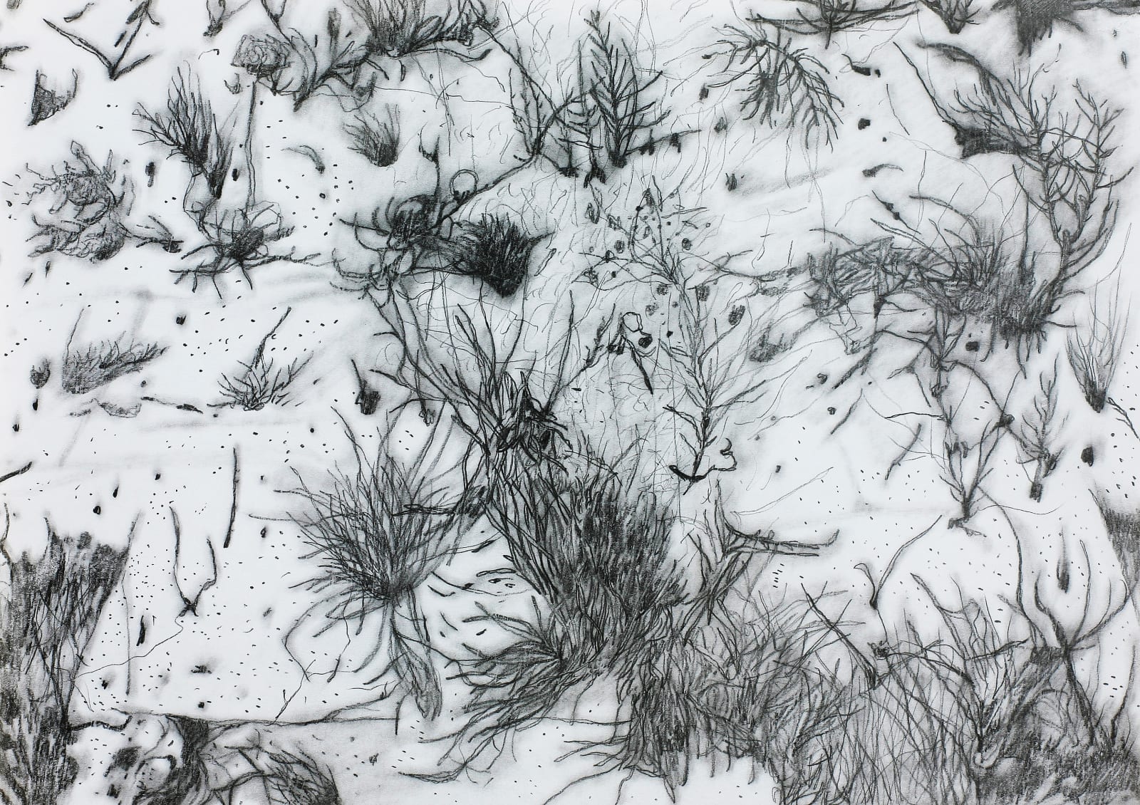 AN Gyungsu (On paper), Scenery, 2013