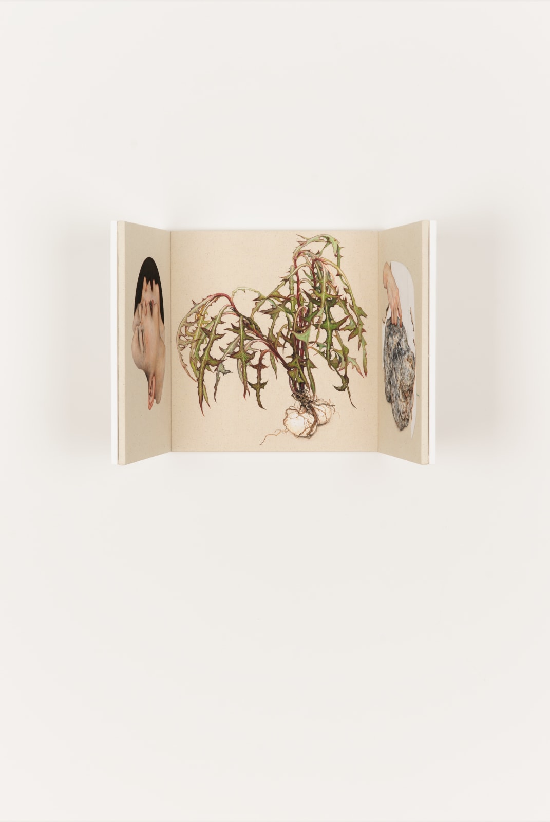 LEE Jinju, Negative Landscape 음각의 풍경, 2025