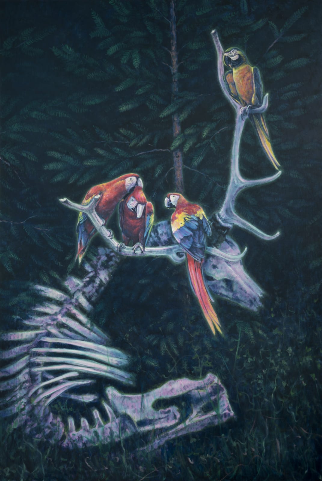 JANG Jongwan, Parrot Trial, 2018
