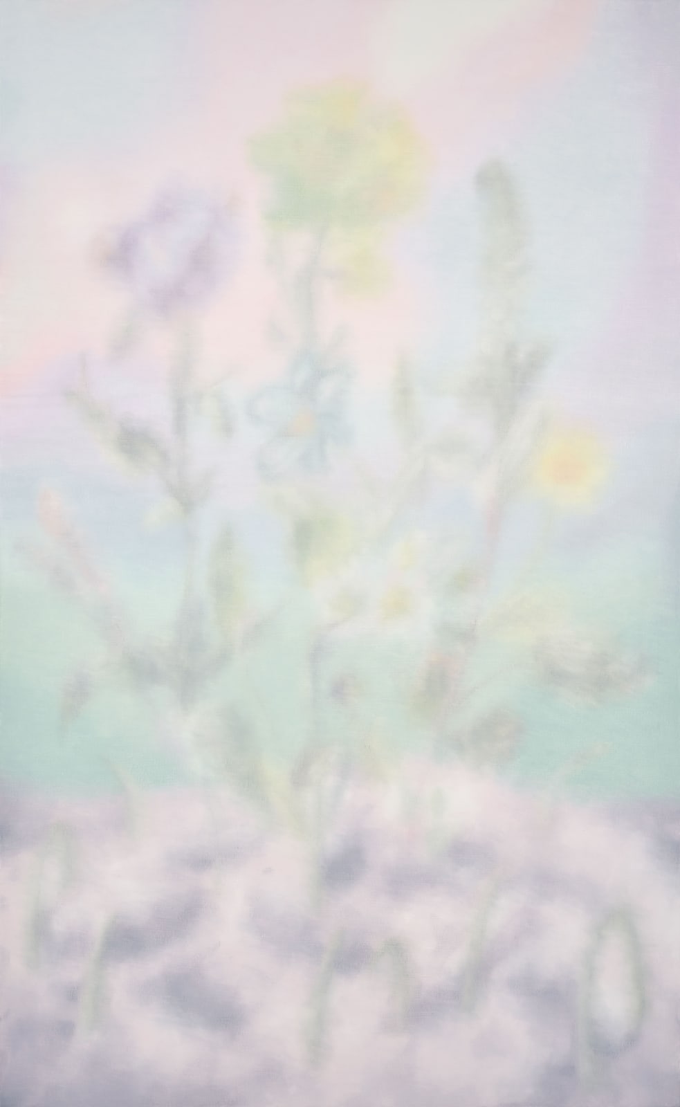 LIM Nosik, Wildflower - Landscape 23 들꽃 - 풍경 23, 2025