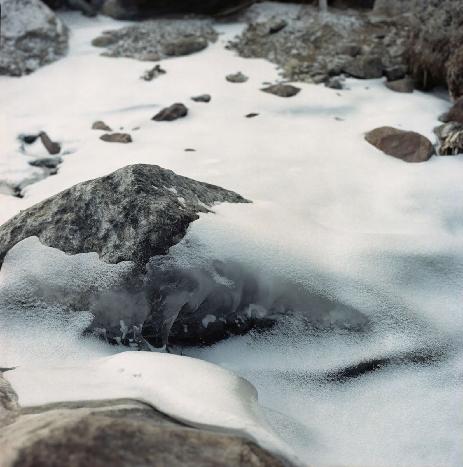 甘莹莹 GAN Yingying, 无题 Untitled, 2019