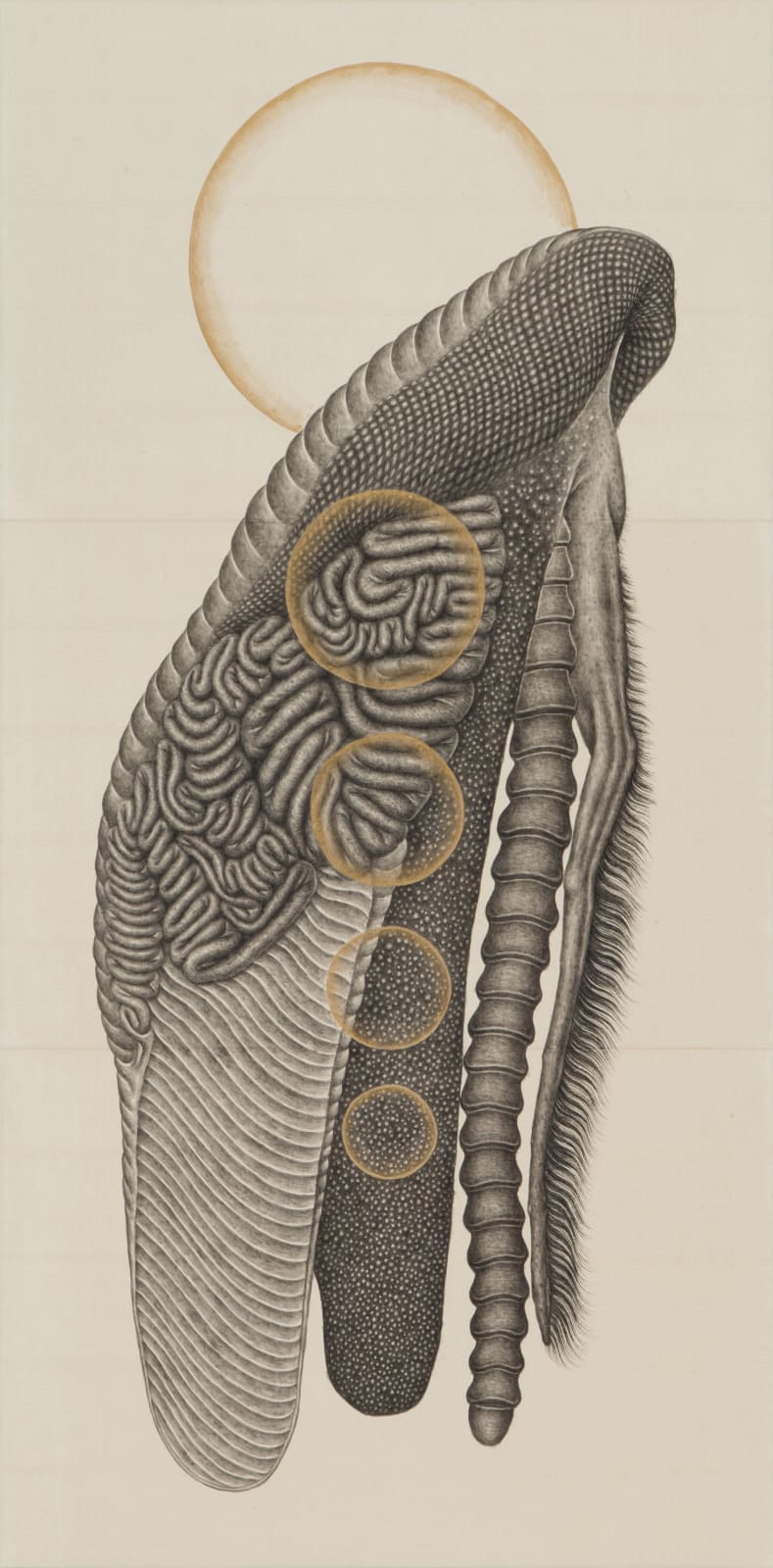 PARK Wunggyu, Body No. 5 다섯 번째 몸, 2024