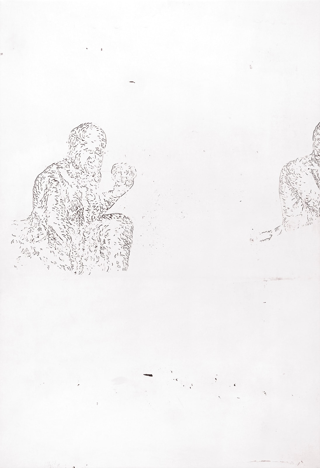 LIM Nosik, WD 11, 2024