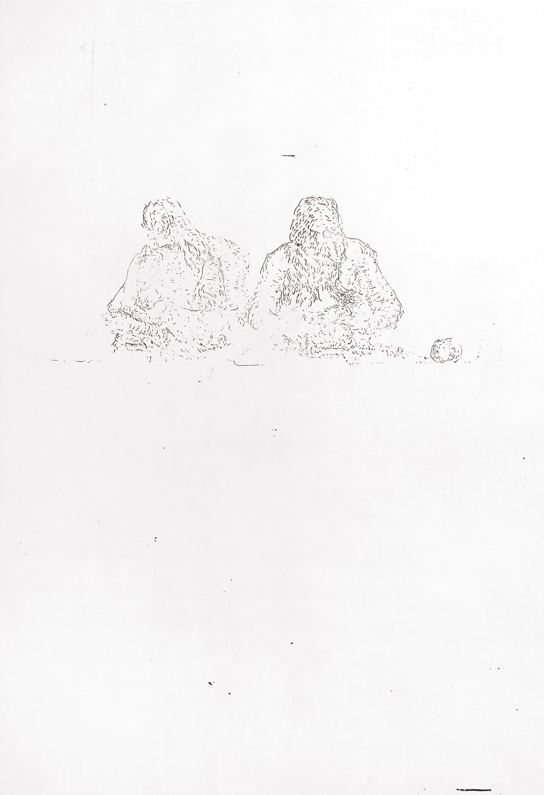 LIM Nosik, WD 08, 2024