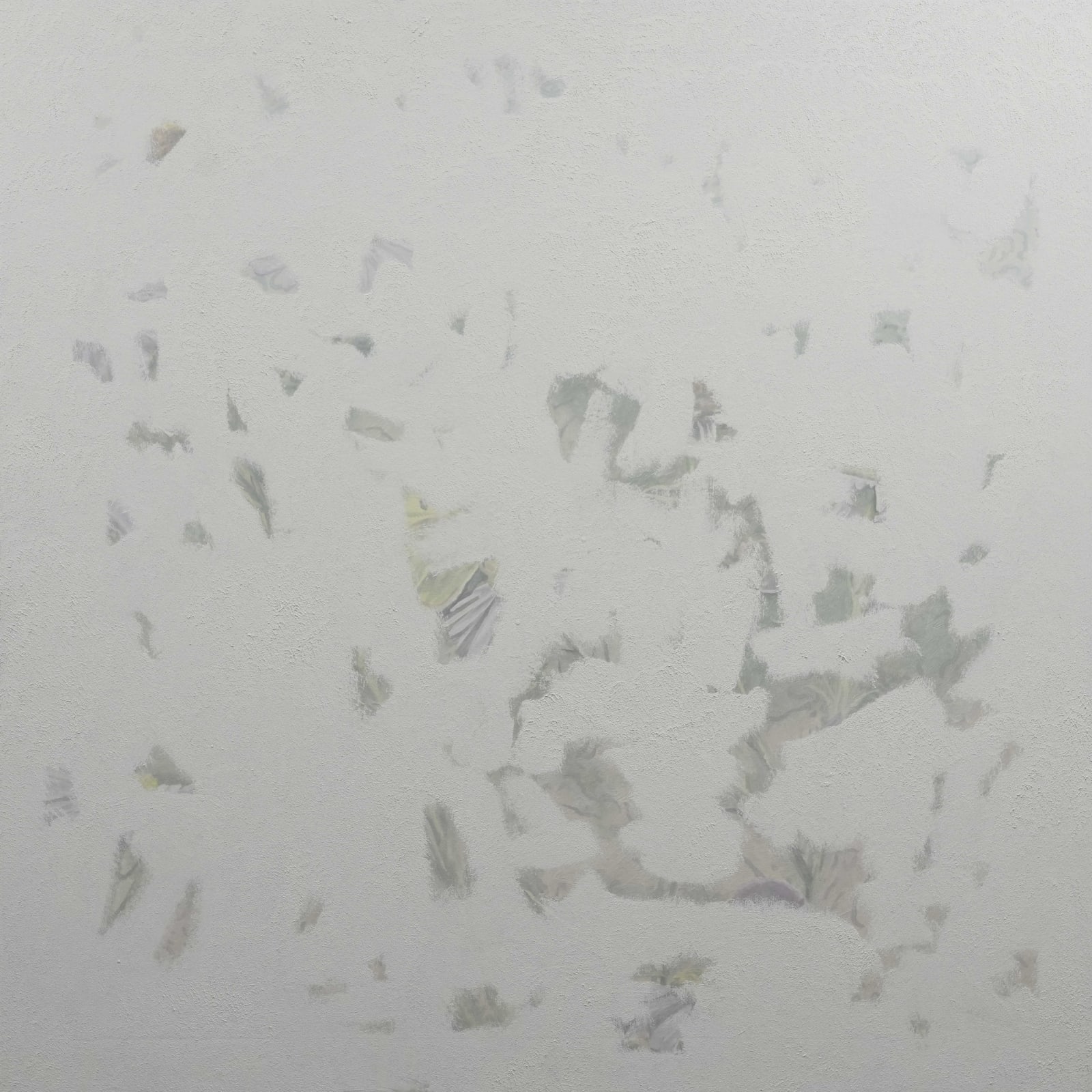LIM Nosik, Wildflowers 21 들꽃 21, 2021