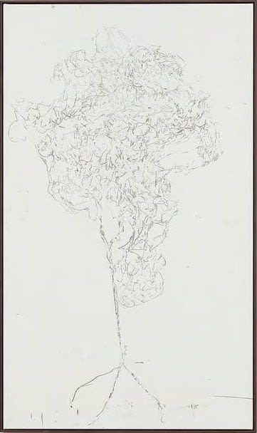 LIM Nosik, GL_45 가는 45, 2022