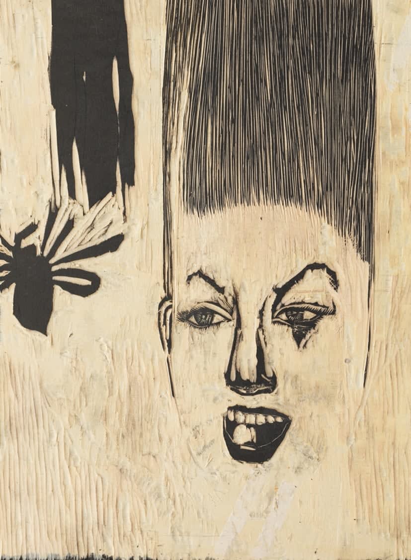 LI Fan, 我想，所以我是73 I think, therefore I am No. 73, 2015