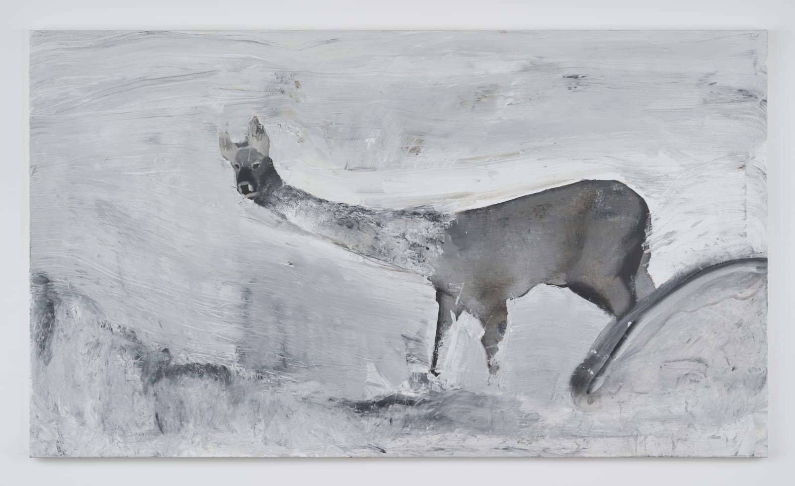 AHN Jisan, Snow Storm, the Water Deer, 2023