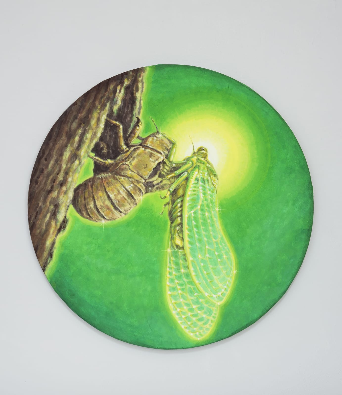 JANG Jongwan, The Birth of Cicada, 2019