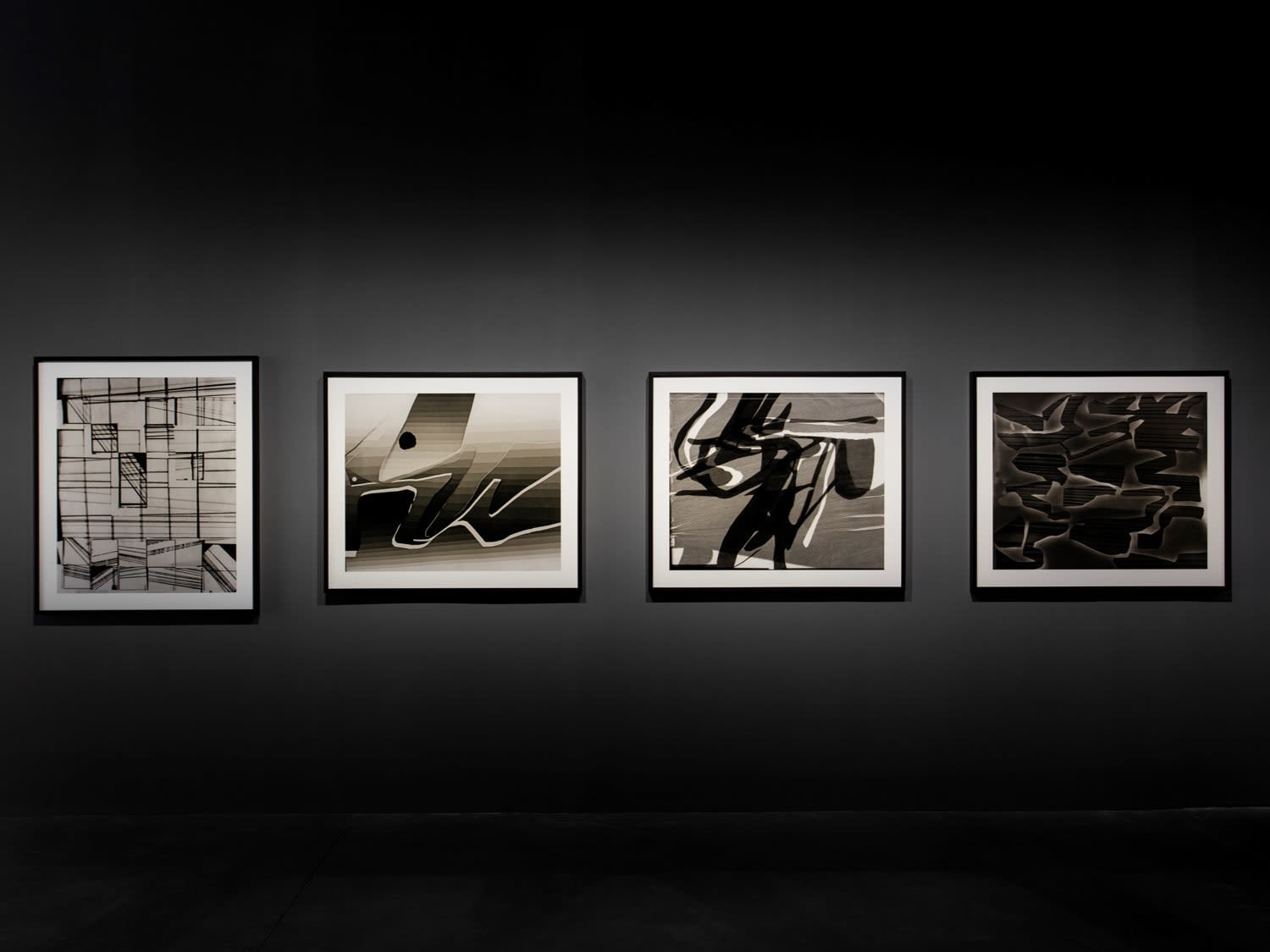 Nalini Malani, Precincts, Trajectory, Flight, Vestige, 1969