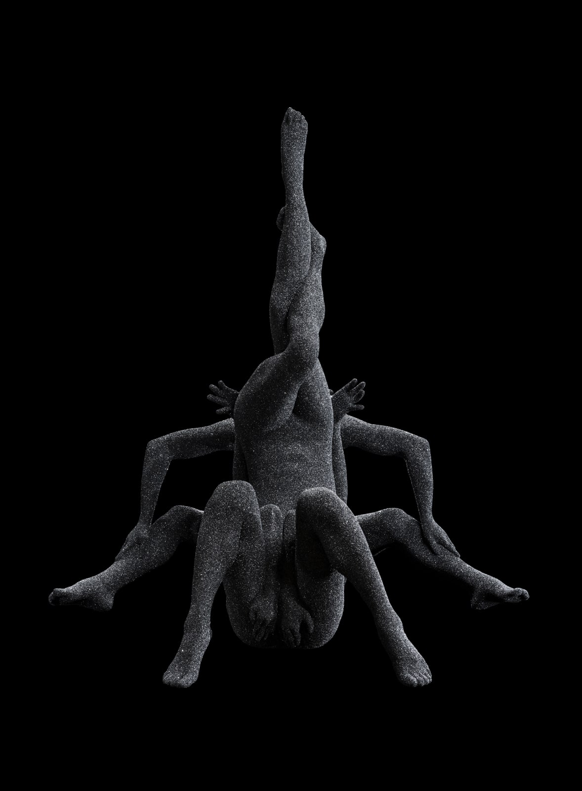 Kohei NAWA, Flora#2 (Black Sic_VESSEL), 2017