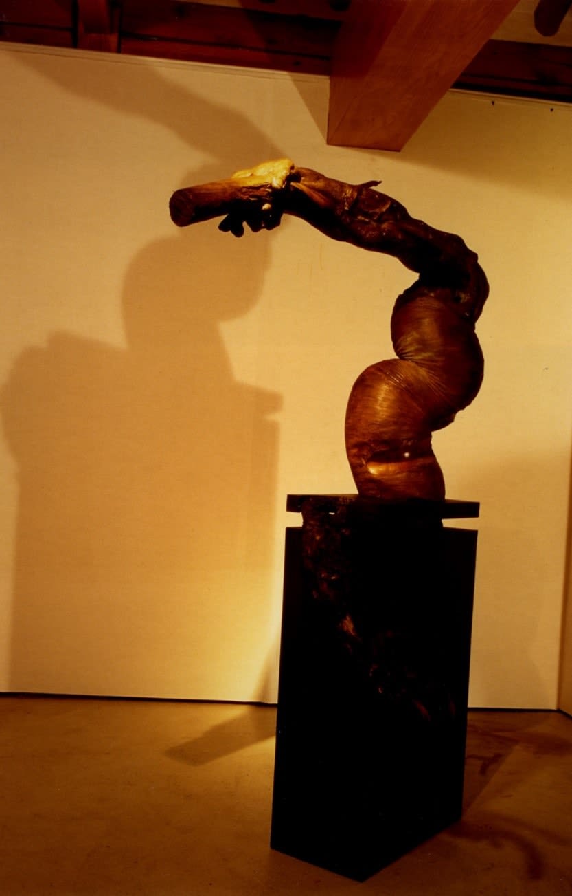 RYU In, Yellow Storm 황색폭풍, 1995