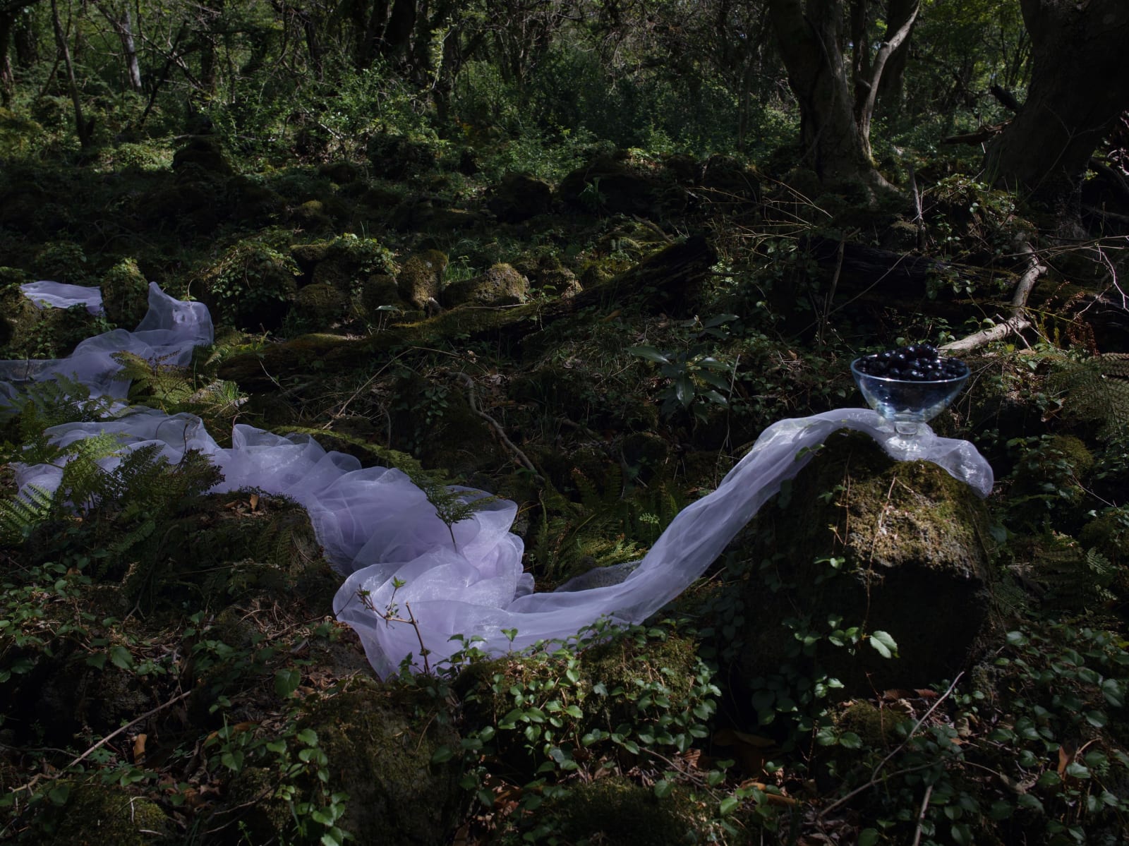 Park Youngsook, 그림자의 눈물 1 | Tears of a Shadow 1, 2019