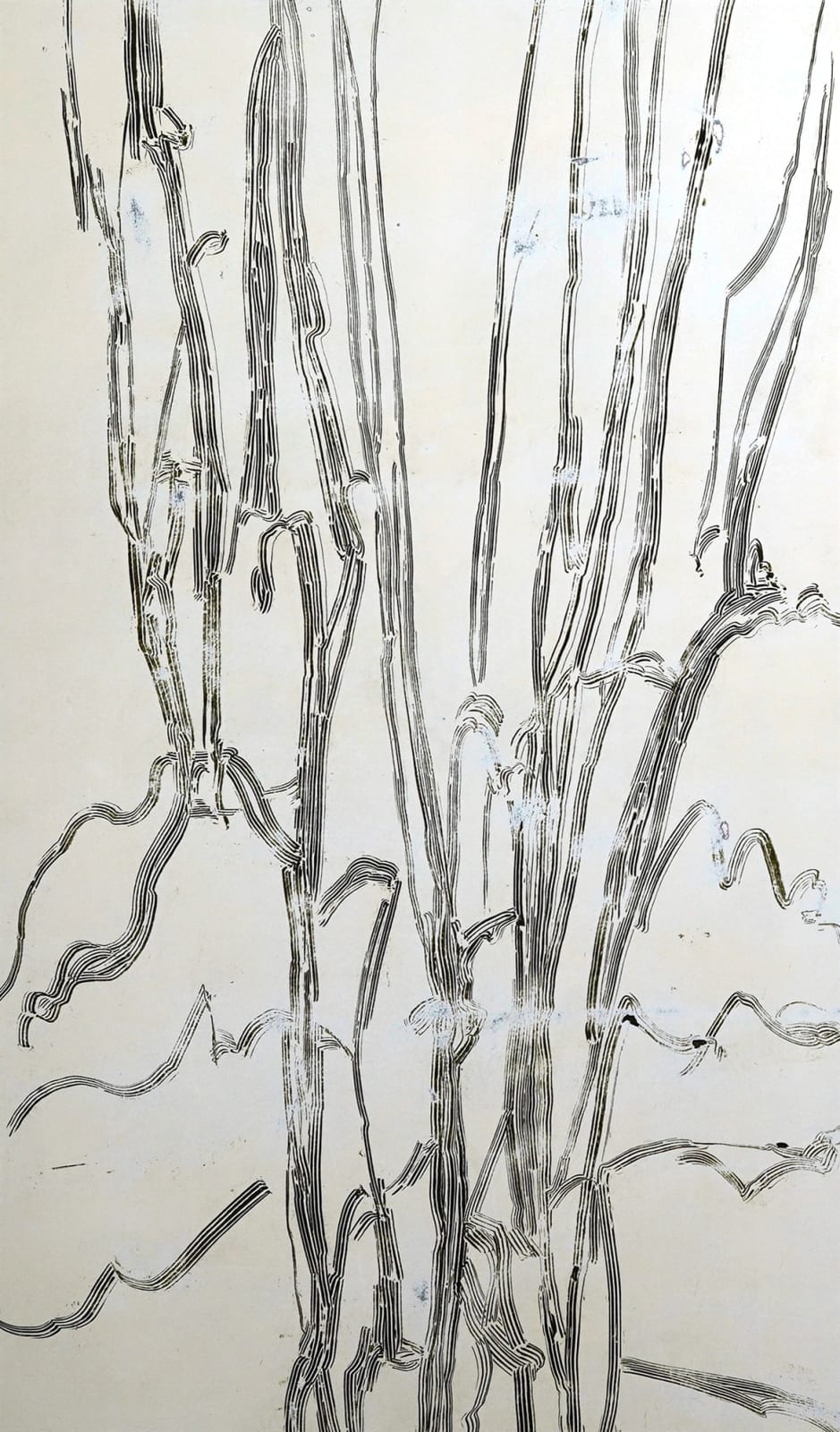 LIM Nosik, GL_42, 2022