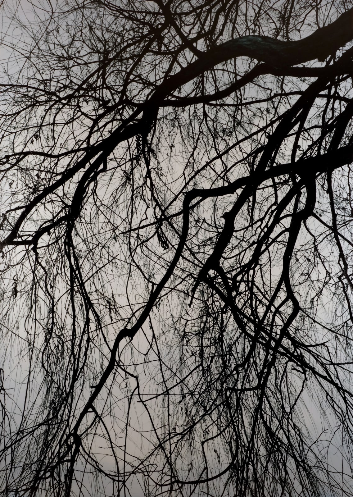 KONG Sunghun, Willow Tree 1, 2015