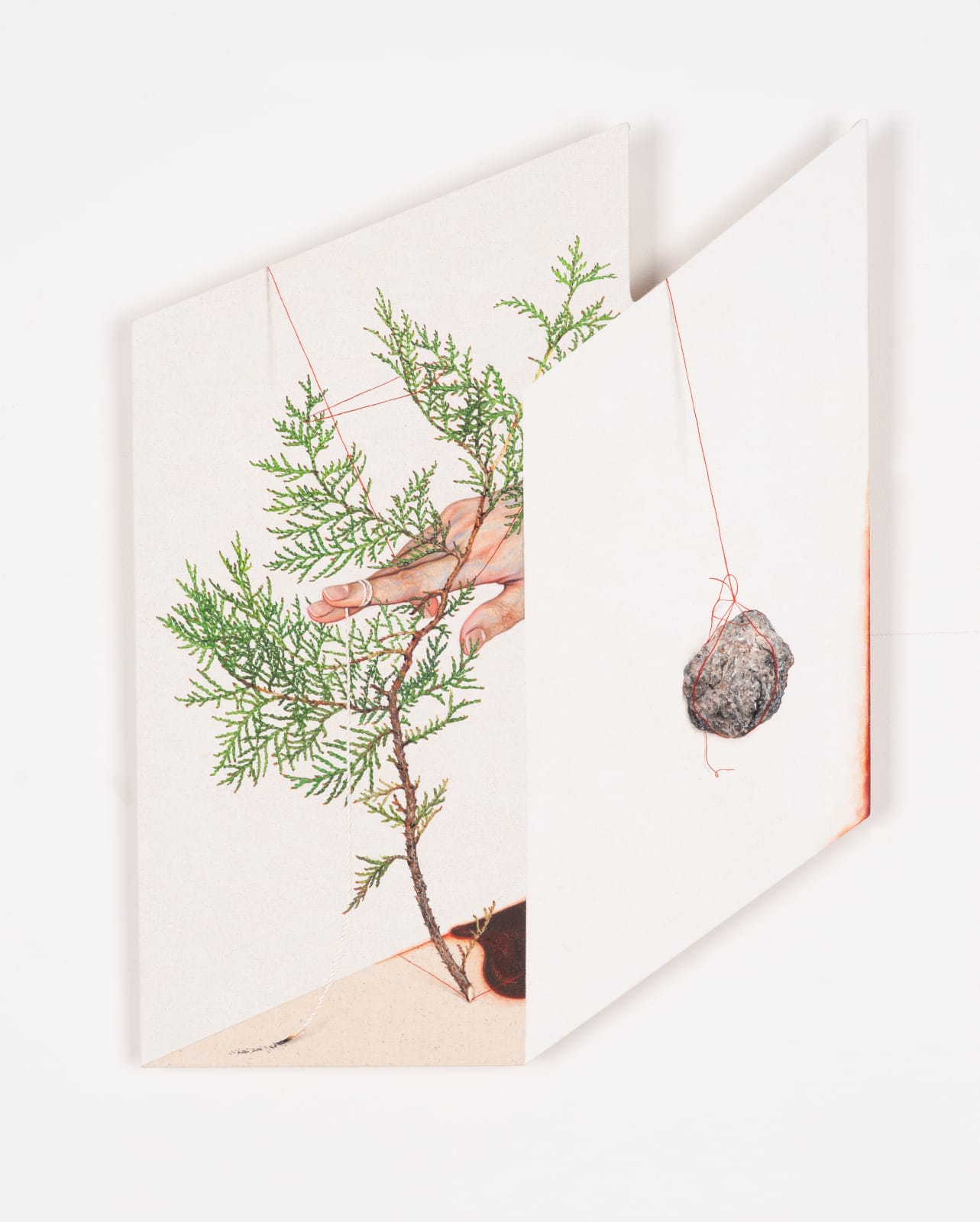 LEE Jinju, Inside Out, Outside In 안과 밖, 밖과 안, 2025