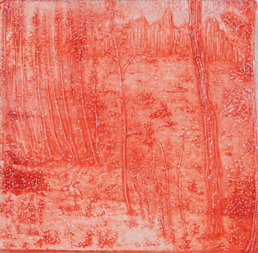 Yuki SAEGUSA, In a Remote Stillness, I Remember You 먼 고요 속에서, 나는 널 기억해, 2024