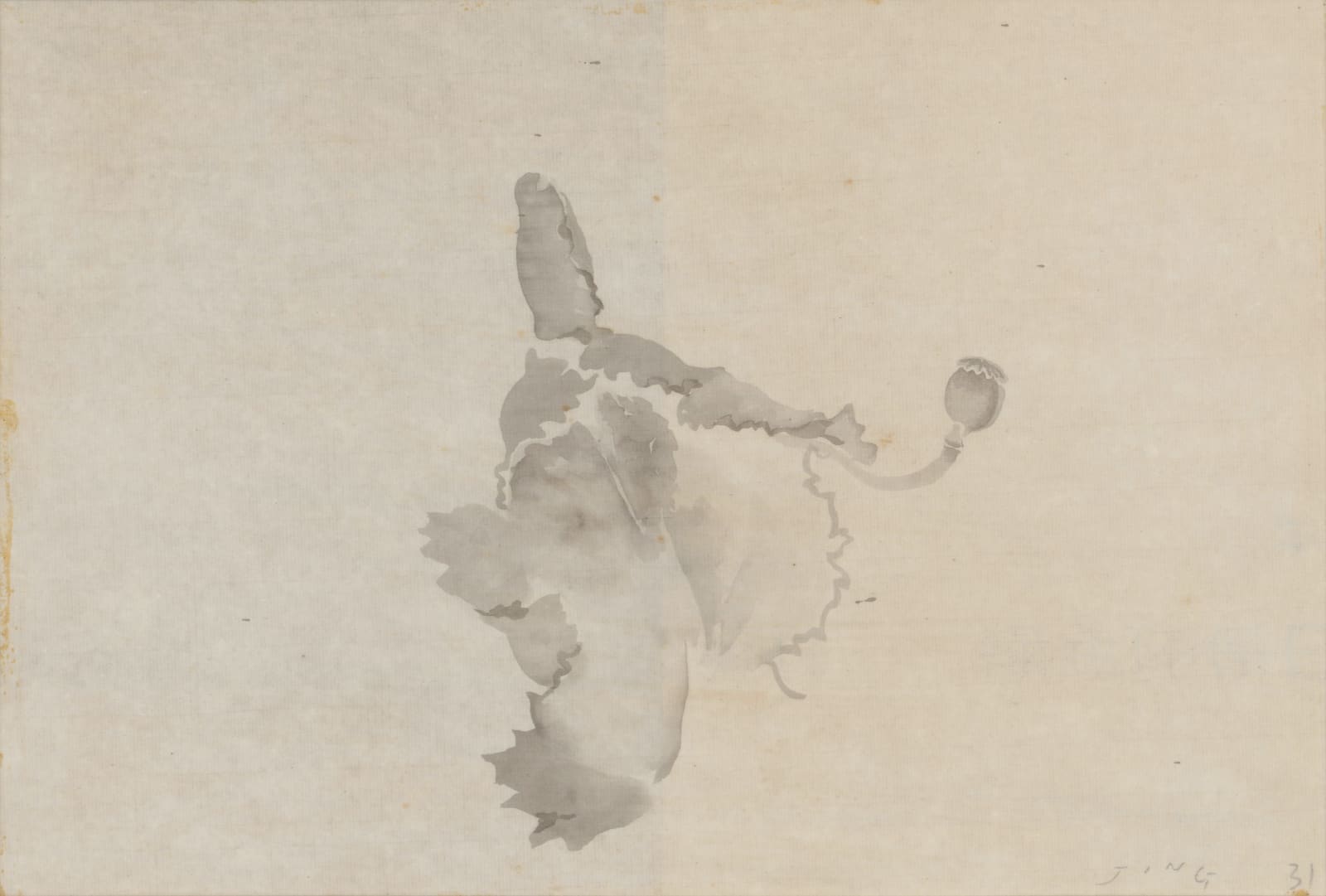 JING Shijian, Poppy 罂粟, 2010s