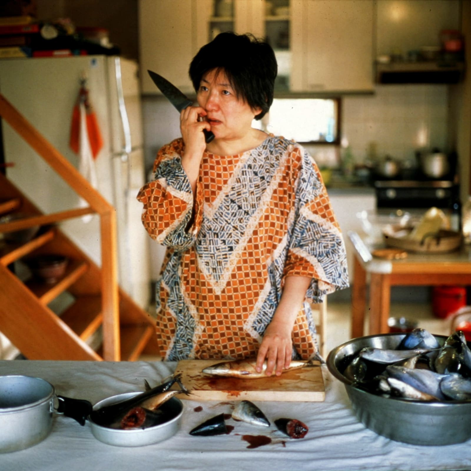 Park Youngsook, Imprisoned Body, Wandering Spirit #1, 2002