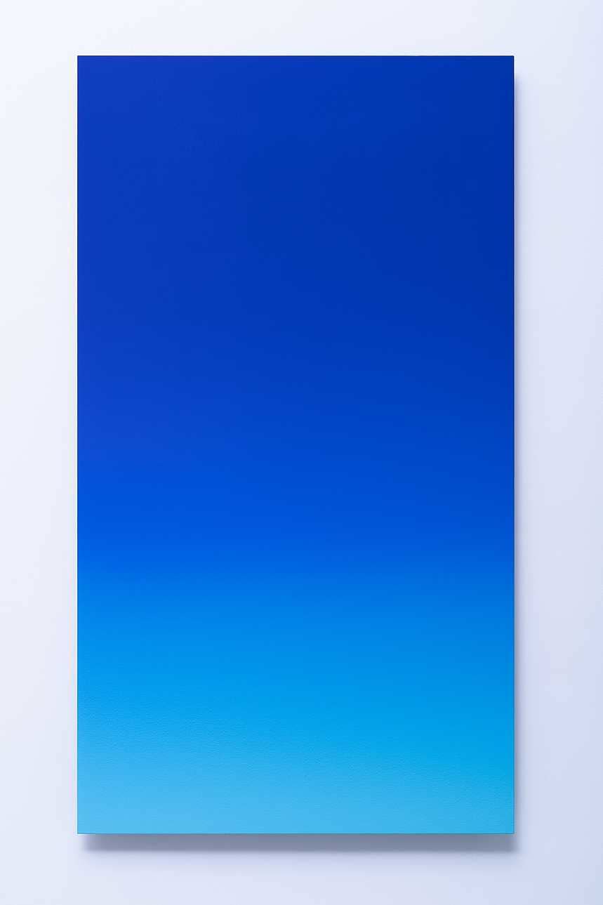 Toru KAMIYA, Juvenile, 2019