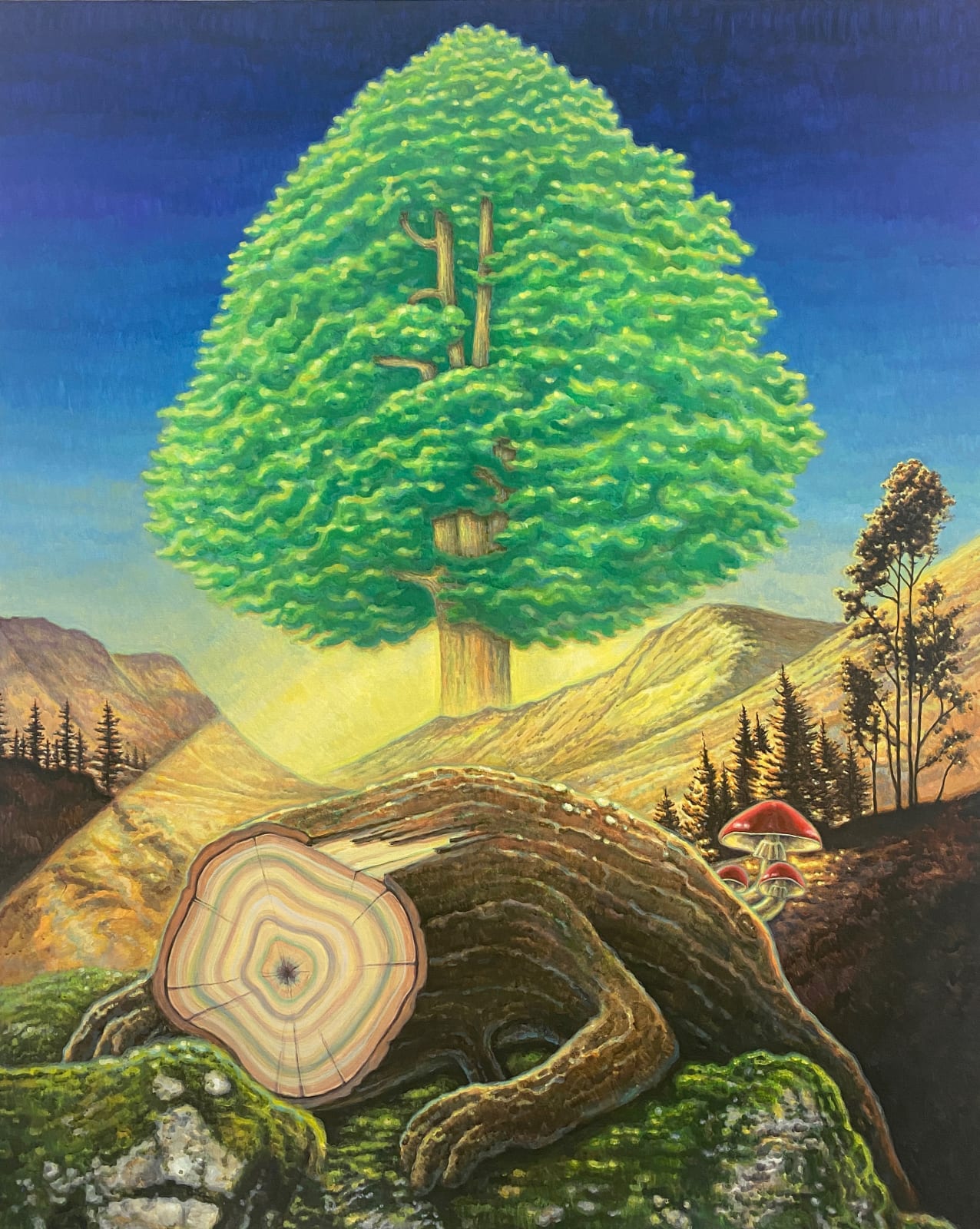 JANG Jongwan, Evergreen Tree, 2022