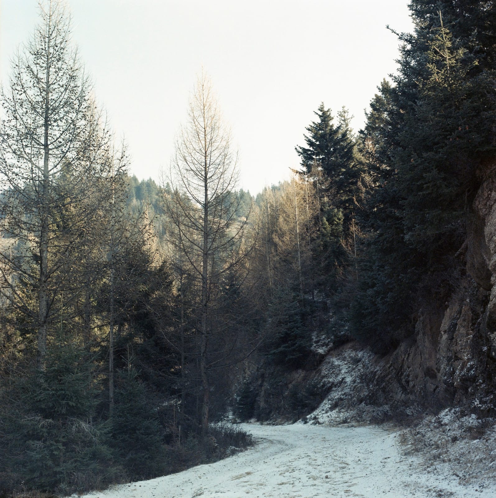 甘莹莹 GAN Yingying, 入山 The Country Road, 2019
