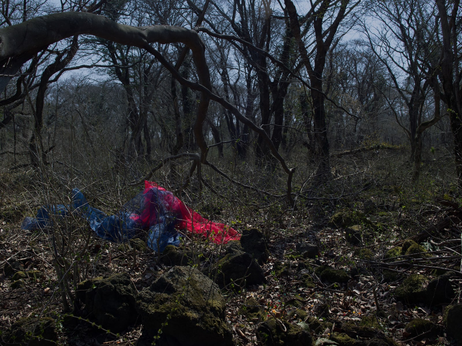 PARK Youngsook, 그림자의 눈물 11 | Tears of a Shadow 11, 2019