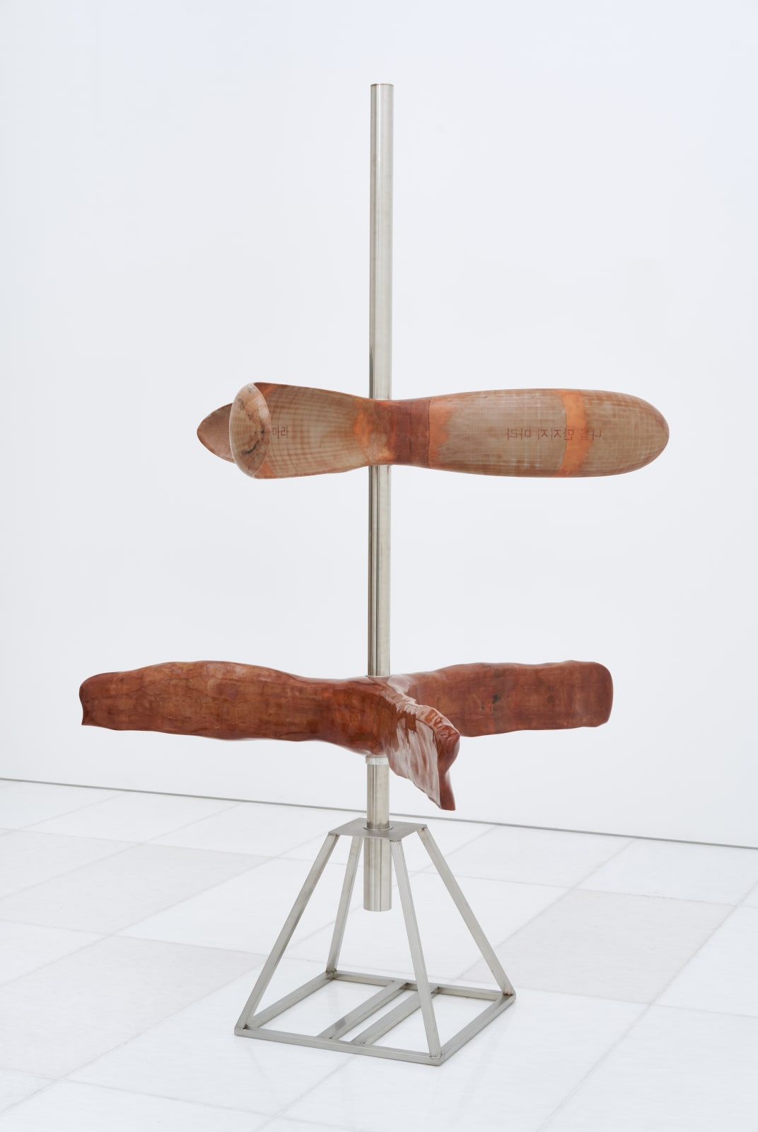 KIM Inbai, Metamorphosis, 2023