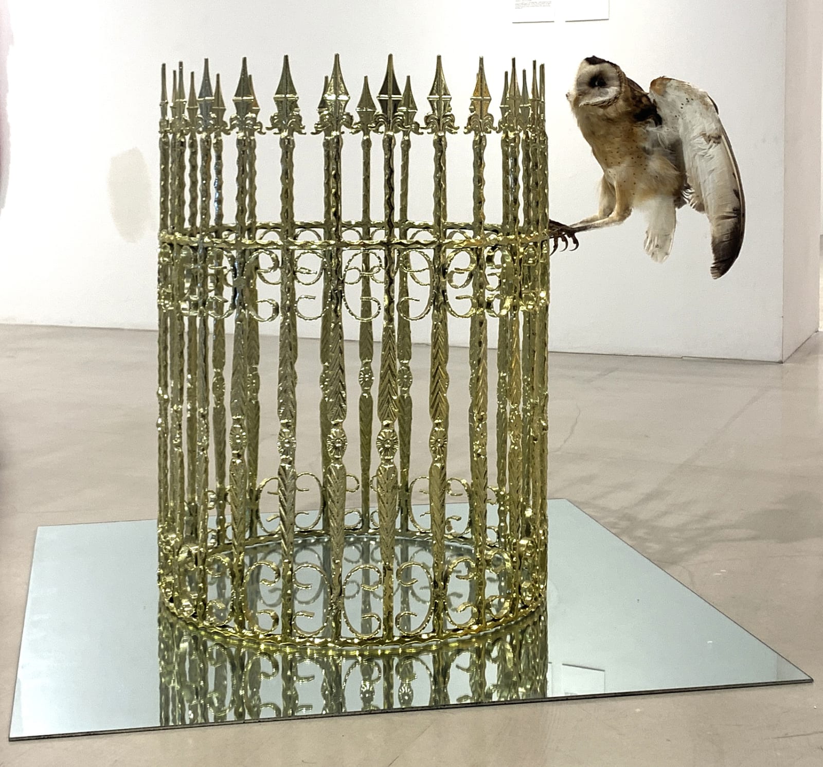 Zheng Huan , Gift, 2015