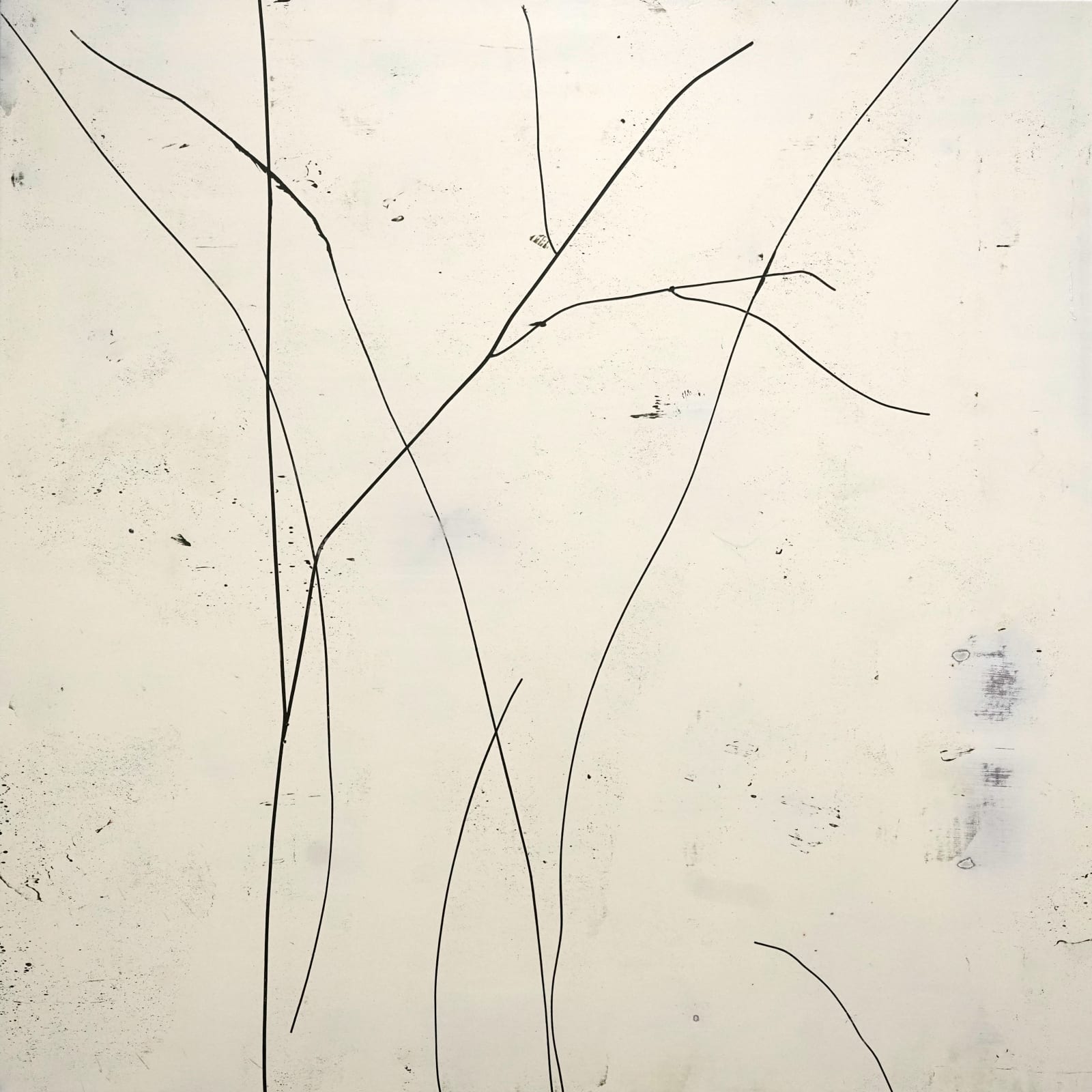 LIM Nosik, GL_37 가는 37, 2022